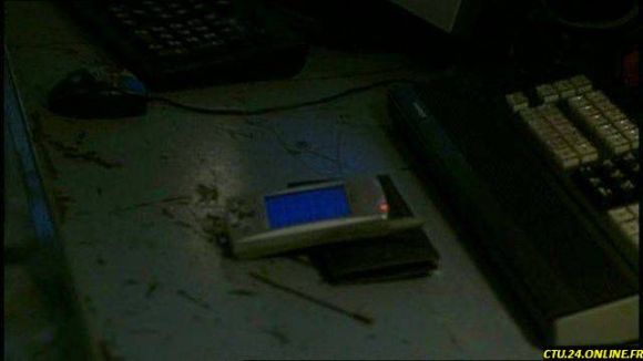 81